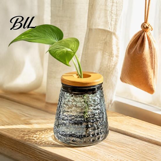 Desktop Flower Vase Hydroponic Planter with Lid, Glass-Like Clear Plant Propagation Station, Office Desk for Cuttings, Home Decor Transparent Bottle