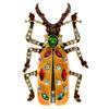 Enamel Bug Beetle Brooches For Women Summer Fashion Pin Jewelry Insect Design Accessories High Quality New 2023