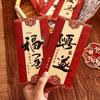 2025 Spring Festival Chinese Red Envelopes: New Style Lucky Money Packets for Children