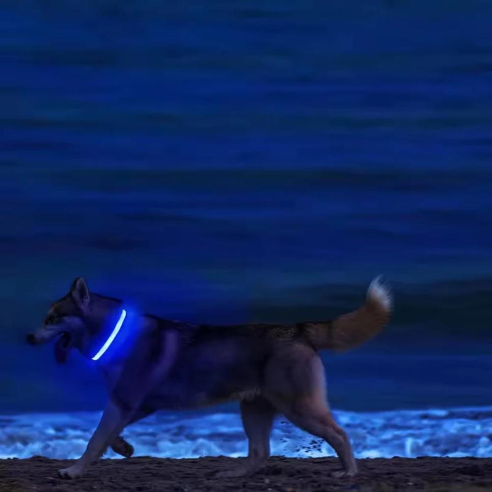 Nylon LED Night Safety Flashing Glow In The Dark Dog Leash Dogs Luminous Fluorescent Pet Dog Collar
