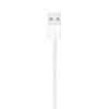 Apple Зарядный кабель Lightning - USB