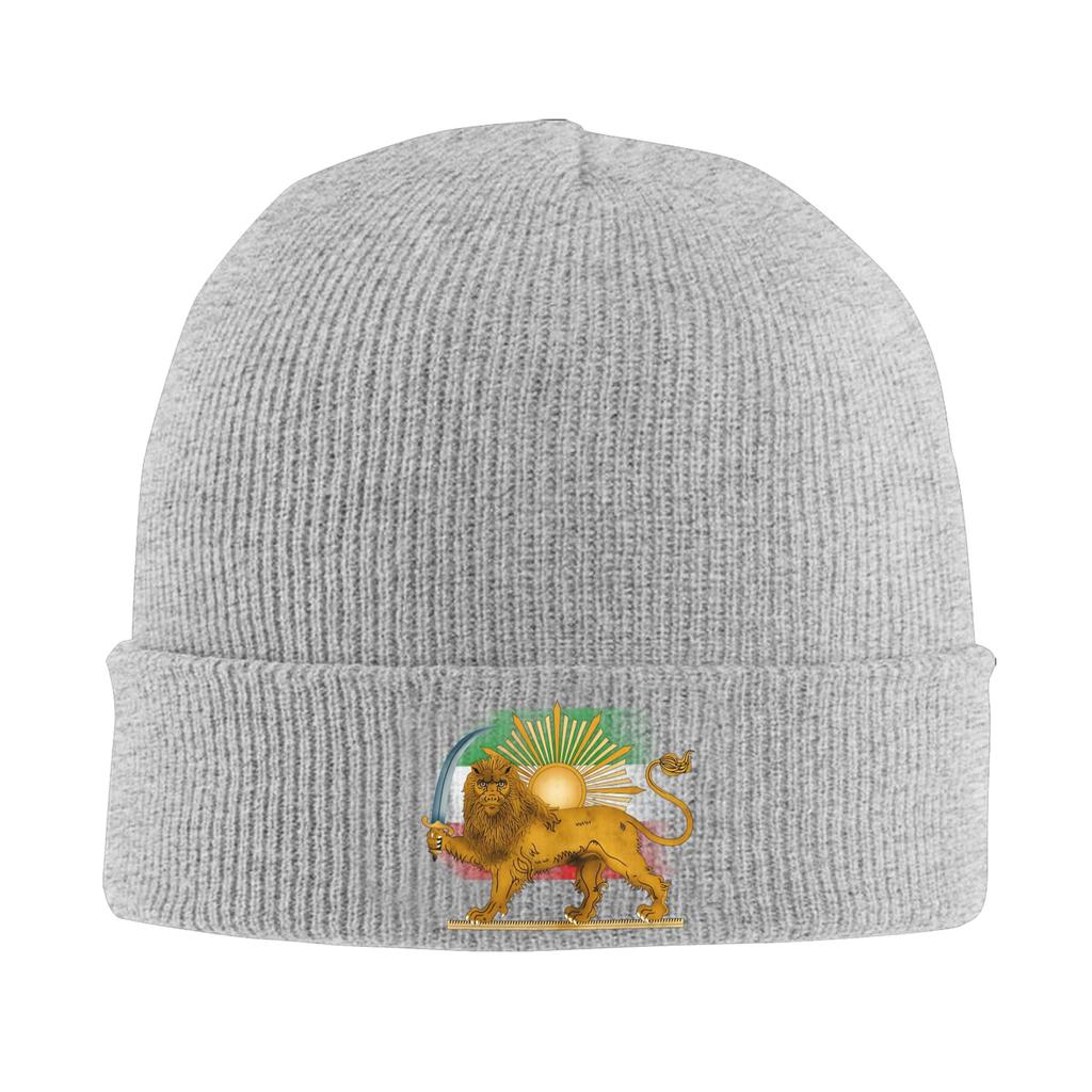 Persian Lion And Sun  Beanie Hats  Bonnet Hats Unisex Women Unisex Fashion Hippie Skullies Beanies Autumn Custom Elastic Caps