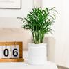 Imitation Glass Aquatic Plant Containers Transparent Green Plant Flowerpot Hydroponic Flowerpot