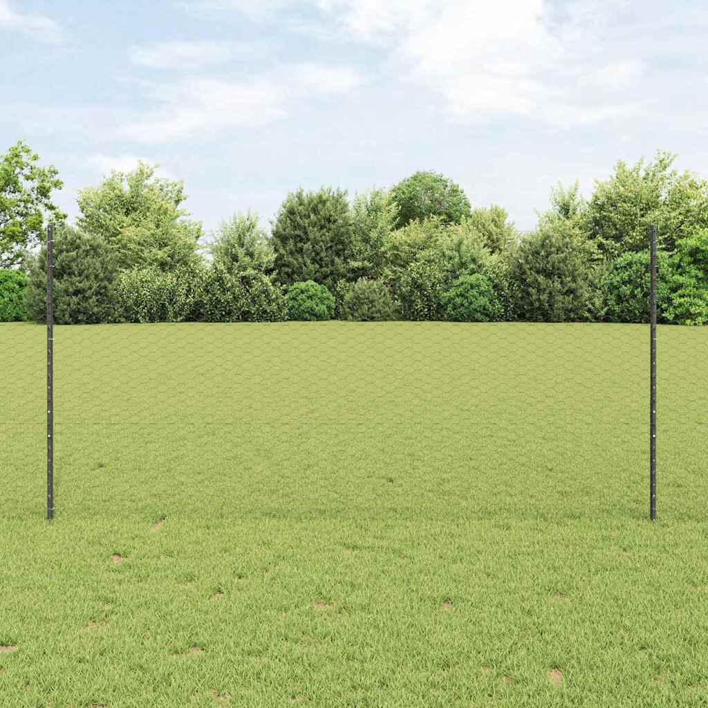 Welded Wire Fence 10 x 1.2 m (W x H)