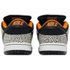 Nike SB Dunk Low Olympics Safari Skateboard Shoes FZ1233-002
