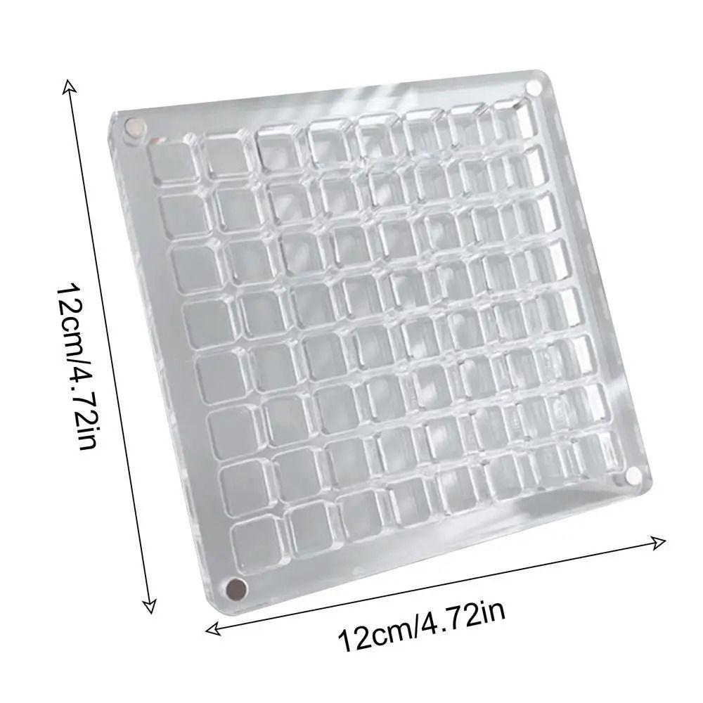 Plastic Magnetic Seashell Display Box Mini Seashell Collection Case New Seashell Storage Box