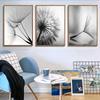 Скандинавский цветок одуванчика, холст, картина, черно-белая современная настенная живопись, постеры с принтом для домашнего декора, гостиной, Cuadros