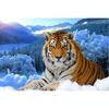 DIY 5D Diamond Painting Animal Tiger Cross Stitch Home Decoration Diamond Embroidery