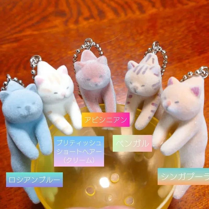 Flocking Cat Who Was Picked Up 3 The Cat That Was Killed By Pinching Dead End of The GashaponFigure Toys