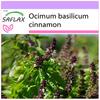 Cinnamon Basil - 200 Seeds - Ocimum Basilicum