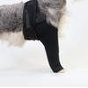 Dog Leg Fracture Support: Thigh Injury Protection & Knee Pads for Front/Rear Legs