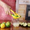 2-In-1 Lemon Lime Squeezer - Hand Juicer Lemon Squeezer - Max Extraction Manual Citrus Juicer