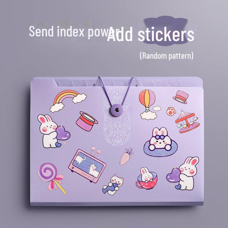 Симпатичная прозрачная папка-гармошка с 12 отделениями для документов формата А4 и студенческих работ