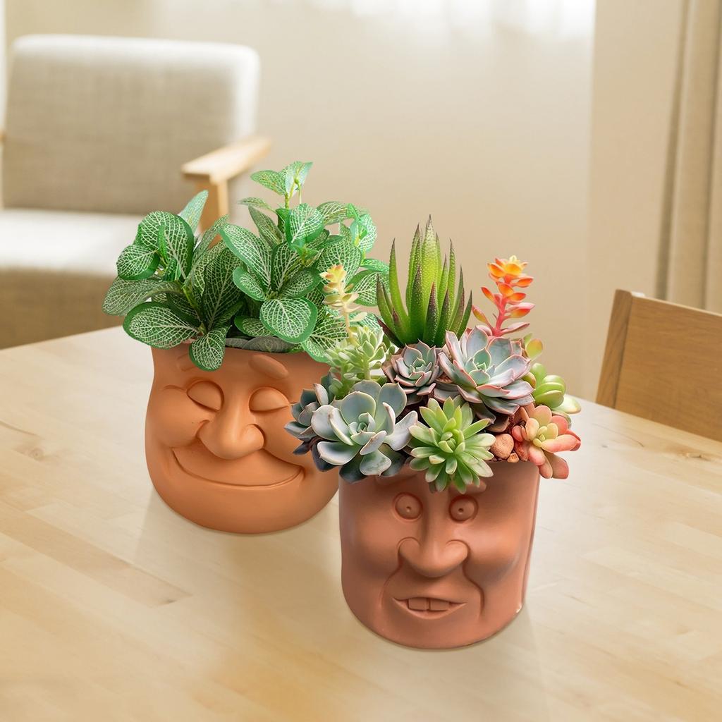 Цветочные горшки, украшенные карикатурой на лицо, забавные украшения из смолы в горшках