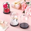 DIY Transparent Plastic Bell Jar Dome Ball with Screw-On Lid for Preserved Flowers Ideal for Valentine's Day And Holiday Crafts