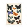 Do it for Your Future Print Positive Words Quotes Wall Art Colorful Butterfly Bug Poster Nature Home Office Decor Friend Gifts
