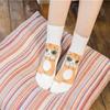 Носки в корейском стиле с рисунком кошки, хлопковые носки средней длины, креативные носки с животными для студентов