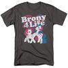 Классическая футболка My Little Pony "Брони на всю жизнь" - Обычная или Майка - до 5XL