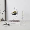 Modern Minimalist Hanging Glass Sphere with Iron Stand for Plants