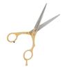 Профессиональные ножницы для стрижки волос, парикмахерские ножницы, семейный салон, плоский зуб, парикмахерский инструмент, золото