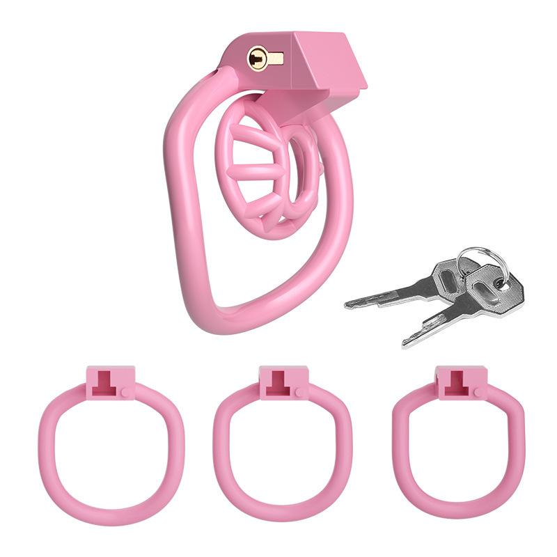 BDSM Мужской Пенис Клетка Целомудрия Набор Маленькая Птица Клетка Целомудрия Пояс С 4 Размерами Кольцо на Пенис Замок на Пенис БДСМ Раб Мужчина Секс-игрушка Сисси