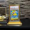Защитный кейс PSA для карт Pokémon BGS/CGC - Металлический защитный корпус с защитой от УФ