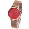 Часы Skagen SIGNATUR SKW2868 Кораллово-розовый циферблат Розовое золото Плетеная сетка 30 мм Женские