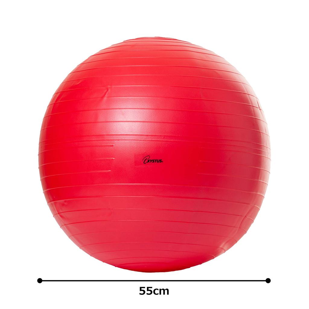 TOEI LIGHT Body Ball 55 H7261