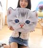[dokidoki] Cat Kitten Face Cushion Body Pillow Plush Toy American Shorthair Tabby Funny Item Gift Cute Moe Instagram