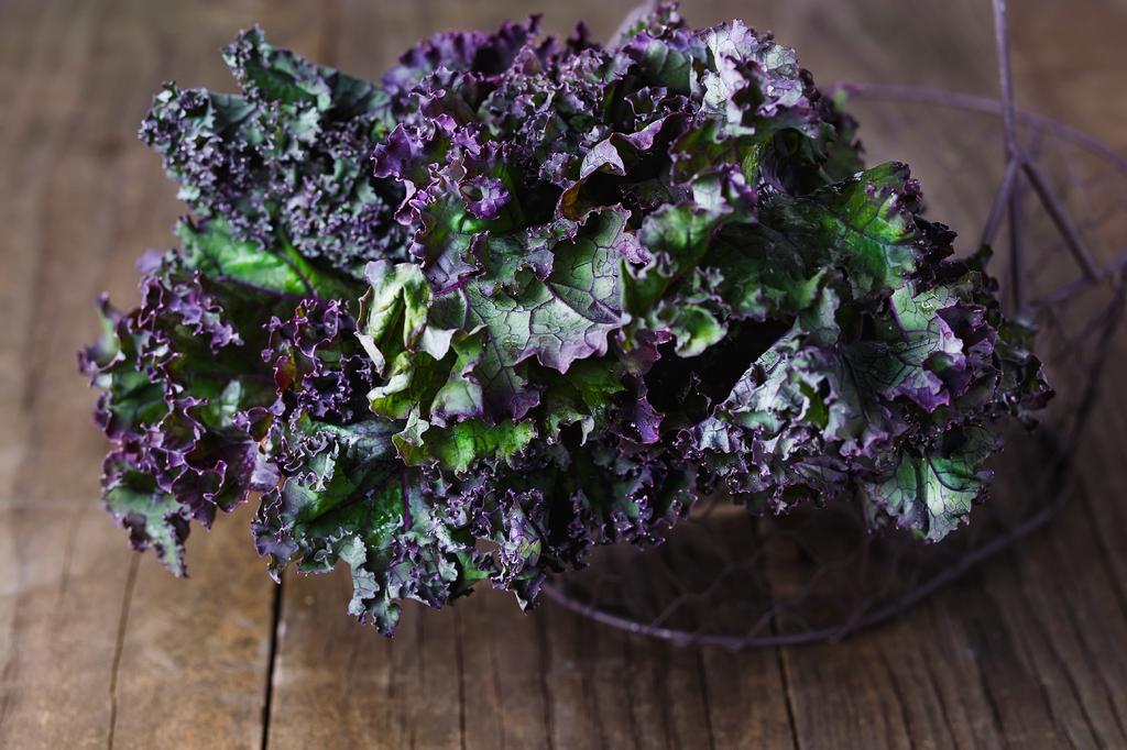 SAFLAX Garden in the Bag - Organic - Капуста - Redbor - 50 семян - С субстратом в подходящем стоячем пакете - Brassica oleracea