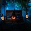 Solar Powered Pathway Lighting LED Crow Skull Light, Waterproof Halloween Gothic Decorative Stakes for Flowerbeds on Skeleton Head Stake Lamp Garden,