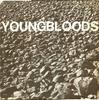 LP Пластинка YOUNGBLOODS - Рок-фестиваль WS1878 WARNER BROS 1970 США Рок Б/У