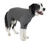 MANDARINE BROTHERS SKIN TIGHT SUIT Dog Inner Wear (XXL, GRAY)