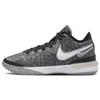 Zoom LeBron NXXT Gen EP Black Wolf Grey Мужские кроссовки White Light-Bone DR8788-005
