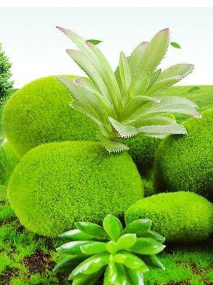 6pcs/18pcs Artificial Moss Rocks Decorative Green Moss Balls Moss Stones Fake Moss for Floral Arrangements Fairy Gardens and Crafting Decor