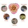 Pink White 24k Gift Gold Rose Forever Long Stem Dipped Rose Handcrafted Gift