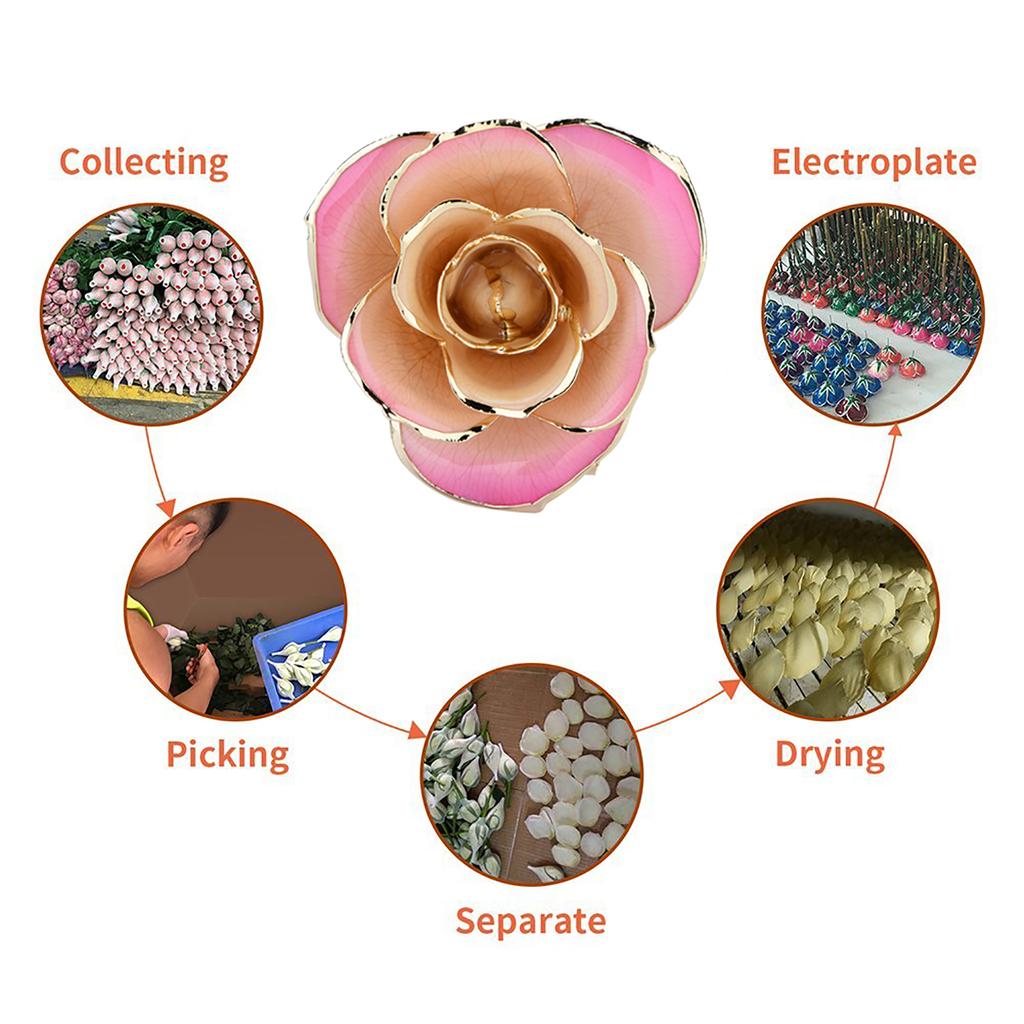 Pink White 24k Gift Gold Rose Forever Long Stem Dipped Rose Handcrafted Gift