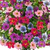 Artificial Flower Garden Stake Decoration Versatile 24" Romantic Gift Fairy