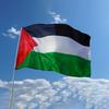 Palestine Flag Bright Color Hanging Banner Durable Palestinian National Flag for Home Garden Decoration