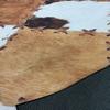 Imitation Animal Cowhide Washable Carpet Home Decoration Zebra Pattern Living Room Carpets Bedroom Bedside Sofa Rug Porch Mat