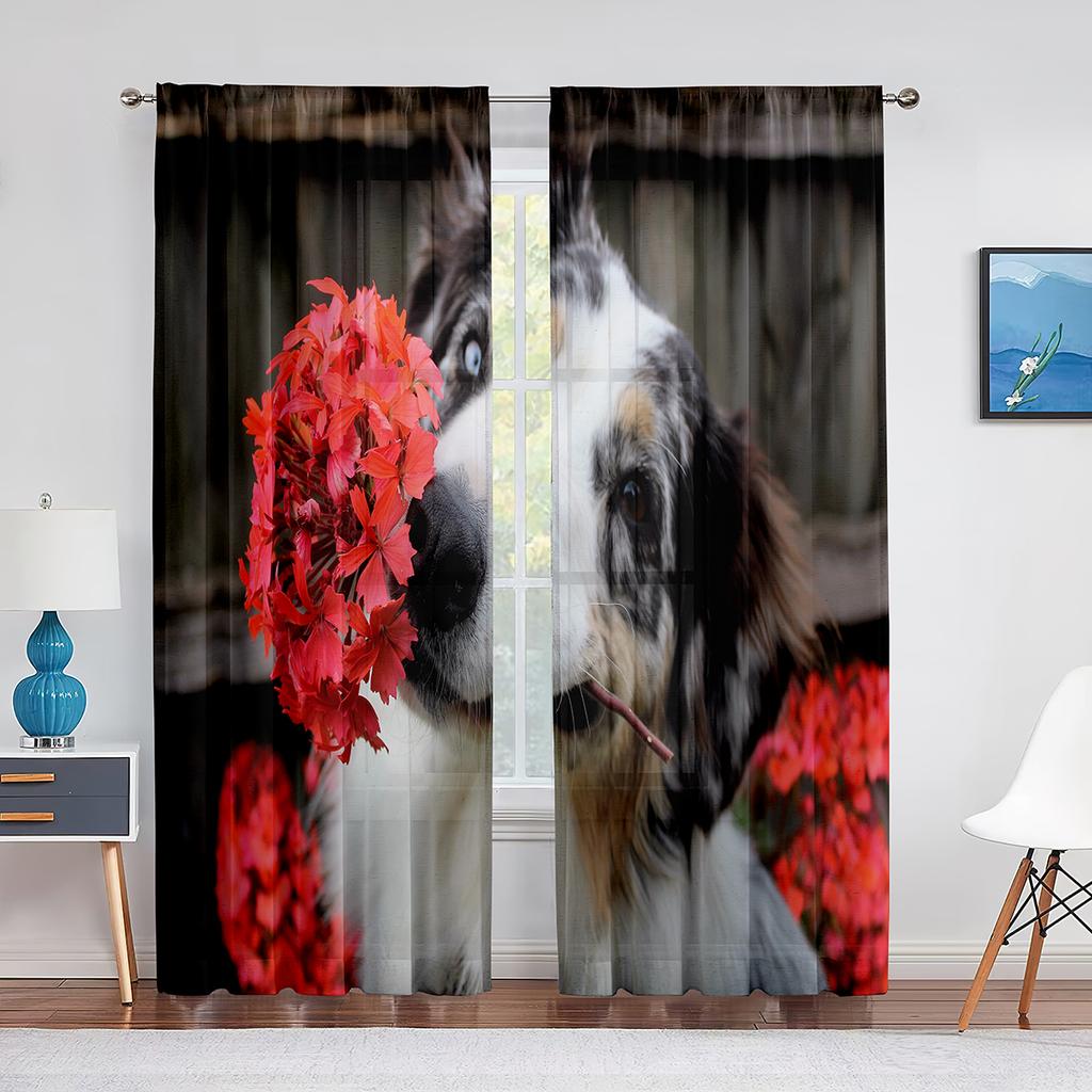 Тюлевые шторы с изображением собаки, австралийской овчарки, розовыми цветами для декора гостиной, спальни, прозрачные прозрачные занавески из вуали