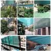Shunxing Dark Green Agricultural Sunshade Net