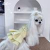 Fleece Warm Winter Dog Princess Dress, Soft Thick Plush Pet Skirt Clothes For Maltese Yorkie Teddy Small Dogs