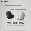 Sony Полностью беспроводные наушники с шумоподавлением WF-1000XM6