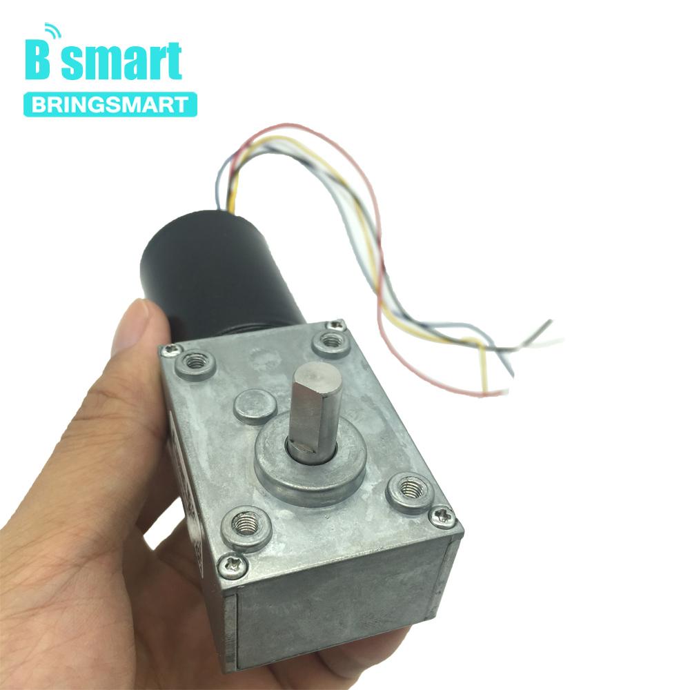 Bringsmart Brushless DC Worm Gear Motor 5840-3650 12V 24V BLDC Self-locking Braking Gearbox 8-470rpm Electric Motor Customized