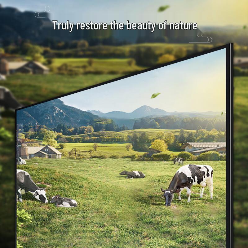 PInYUE V5 Anti-Light Fixed Frame Projector Screen