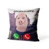 Aertemisi 18'' X 18'' John Pork Is Calling Square Throw Pillow Cushion Covers Cases Pillowcases 45Cm X 45Cm