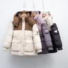 Свободная, подходящая по цвету, теплая зимняя одежда с капюшоном, белая утиная пуховая куртка с длинными рукавами и молнией