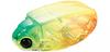 Bassday Плавающая приманка Beetle Bun 30F 4,5 грамма 250 (3273)