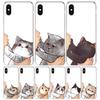 Kiss My Lovely Cat Kitten For iPhone 17 Air 16 15 14 Plus 13 Mini 12 11 Pro Max Phone Case 16E 7 Print 8 SE Fundas Cover Soft Co